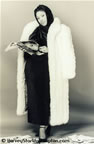 model_14.jpg (25,055 bytes)